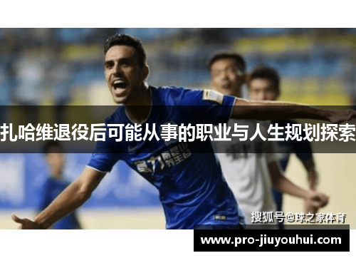 扎哈维退役后可能从事的职业与人生规划探索