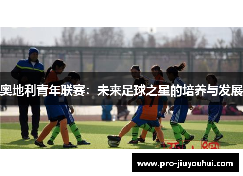 奥地利青年联赛：未来足球之星的培养与发展